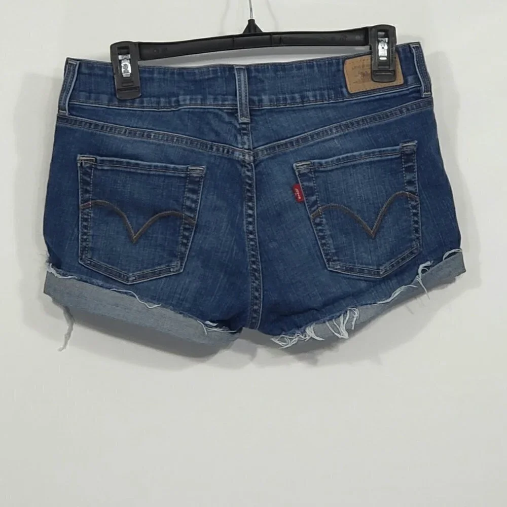 Levis levis 526